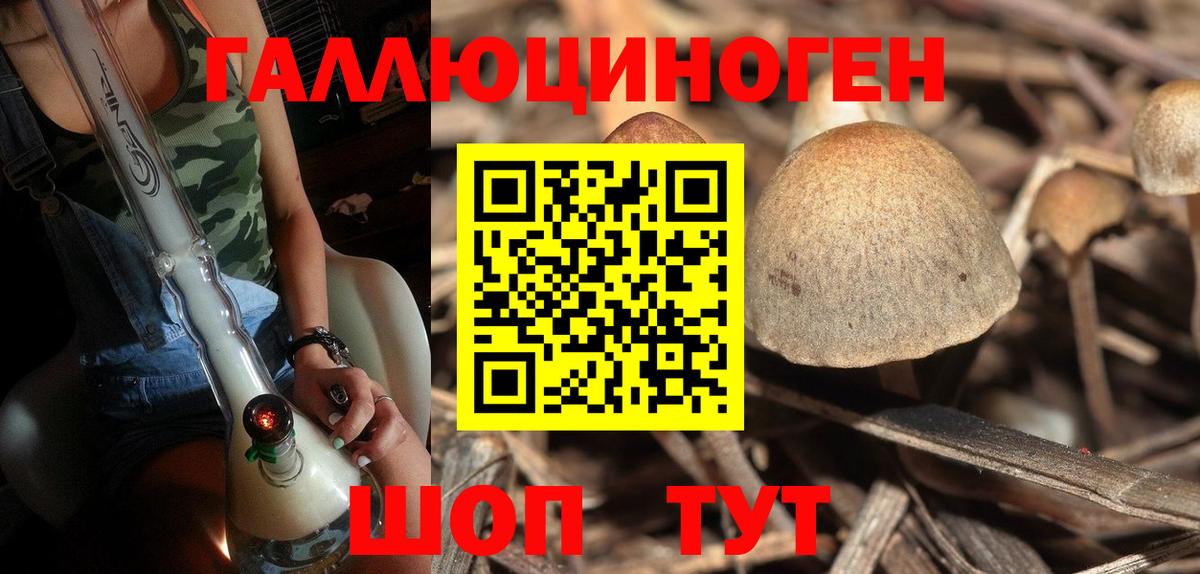 Галлюциногенные грибы Magic Shrooms Норильск